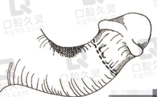 周云超取生长因子的技术原理是什么？