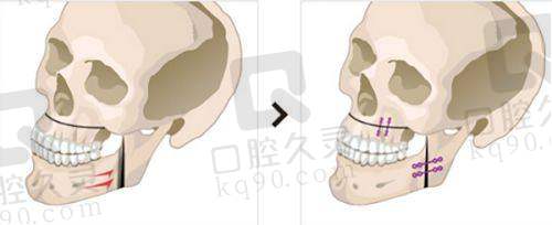 五、顾客满意度与口碑