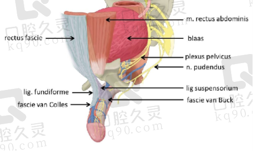 7. 郑州医德佳整形医院 - 诚信为本，服务至上