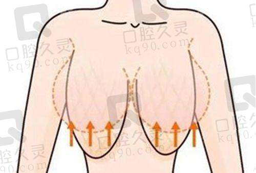哈尔滨双燕医疗美容刘照良医生简介