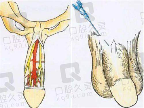 患者交流群能提供联系线索吗？