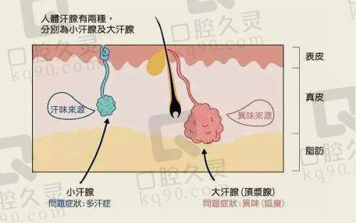 如何了解医院院长的更多信息