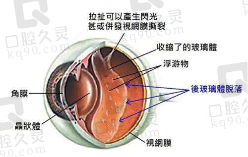 嘉兴朝聚眼科医院的多渠道挂号
