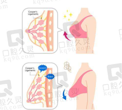 南昌佳美美容医院植发科医生团队介绍