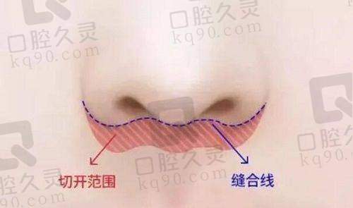 价格信息与预约难度对比