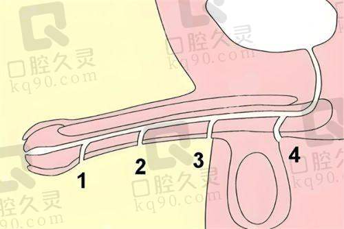 常见男科问题解答