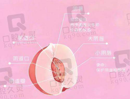 成都八大处整形医院医生：专精技术强