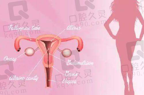 邢台伊美医疗美容诊所基本信息