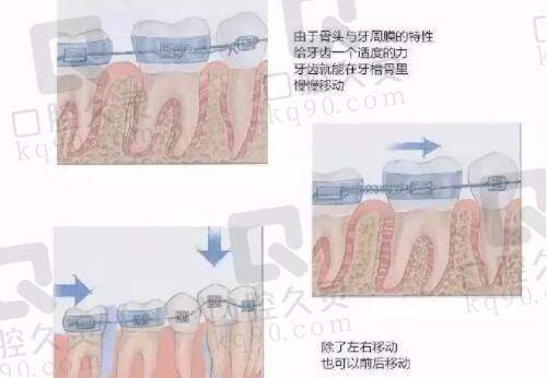 深圳阳光医疗美容医院万晓楠医生预约方式