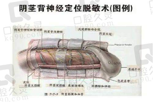 二、医院擅长项目的技术优势与医生水平