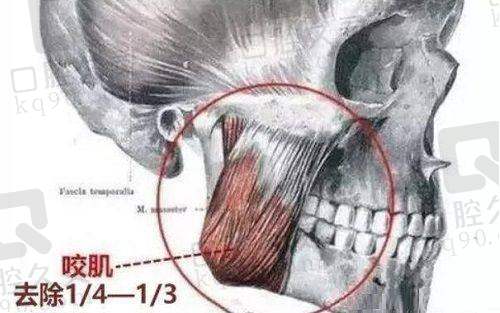 邓朝蓉医生特色技术优势