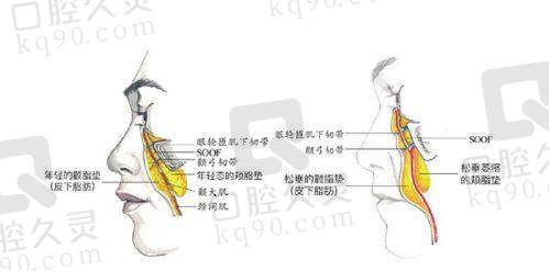 国内部分城市2025热玛吉法定认证医院名单