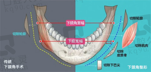 贺洁医生：整体艺术化设计的倡导者