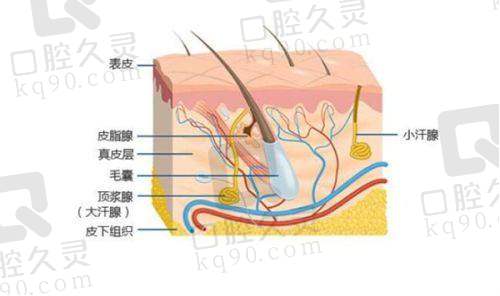 济南艺星杜娟医生有何独特之处？