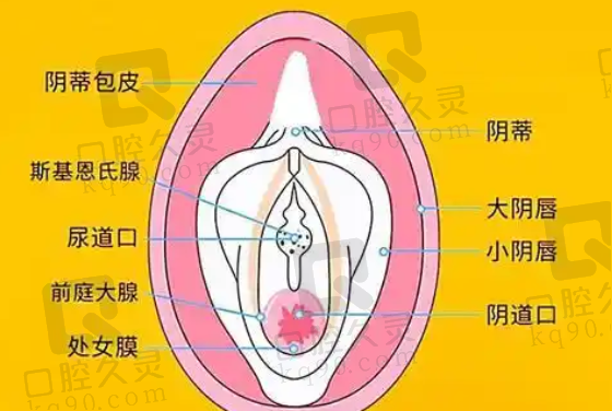 成都棕南私密整形医院处女膜修复体验：过程安心，效果自然，重拾自信超有安全感 