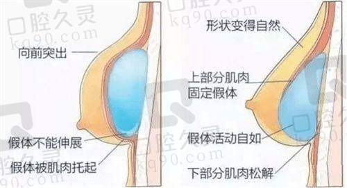 七、台州博仕医疗美容门诊部价格表：（仅供参考）