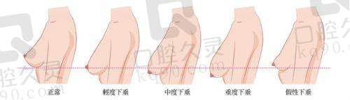 兰州崔大夫整形美容：历史与技艺的传承