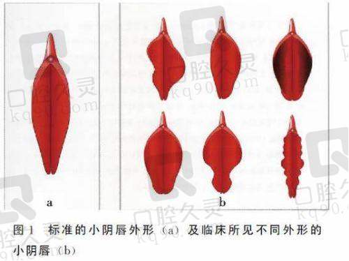 成都棕南医院有哪些有名的私密手术医生？