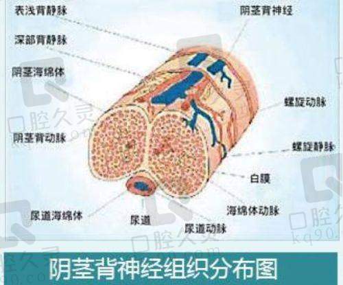 总结