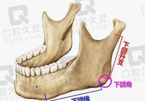 5. 昆明娇点