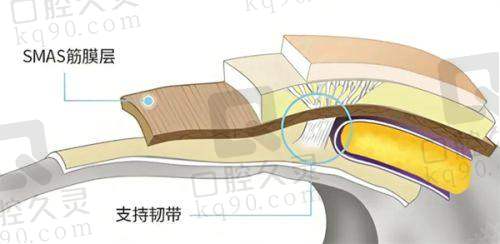 三、北京丽合医院虽非三等甲，但医疗实力不容小觑