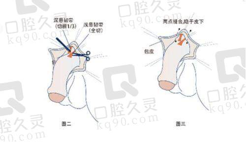 成功实例与口碑：见证实力与信任