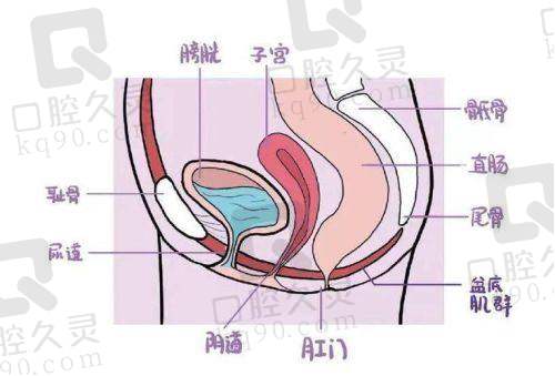 广州建国医院阴道紧缩术的诊疗成效如何？