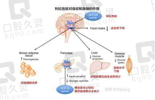 嘉兴曙光医院是正规的医院吗？权威认证、专业医疗与优质服务给出肯定答复 