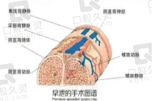 三、无锡大爱丽诺医疗美容门诊部基本信息：