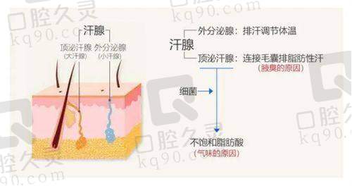 怀化德美医疗美容门诊部：医生团队