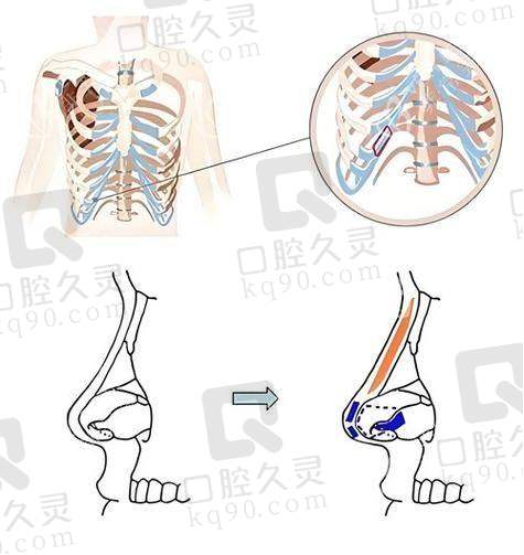 陈伟瀚项目价格表参考