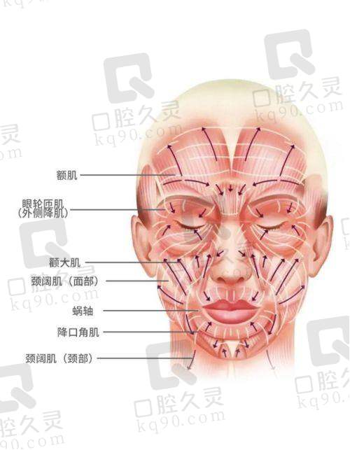 为啥选辽宁曙光整形和王琳琳医生