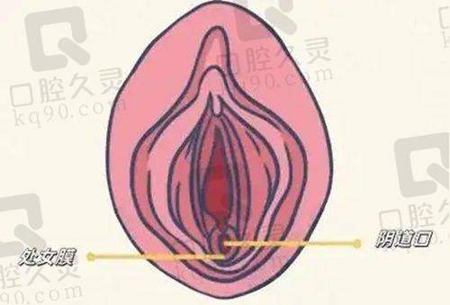 杭州维多利亚是渠道医院吗？