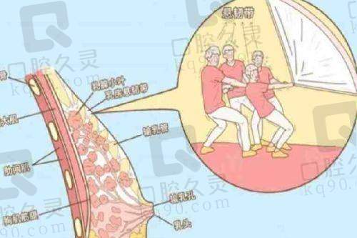 杭州维多利亚医疗美容医院有限公司假体隆胸的术前注意事项