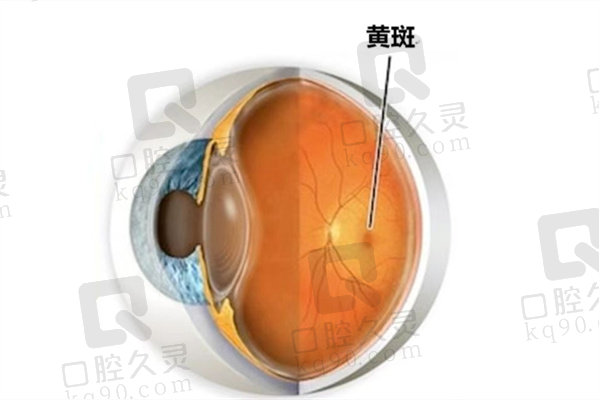 成都高新英华眼科门诊部最厉害三个科室是啥？屈光、白内障、青光科室优势揭秘