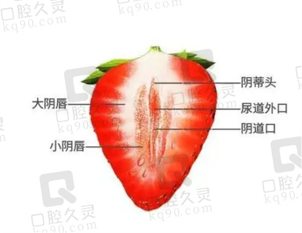 苏州圣爱整形医院能做阴道紧致吗？能！并且做女性私密整形有实力有口碑
