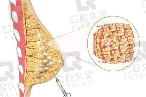 刘中策医生的价格体系