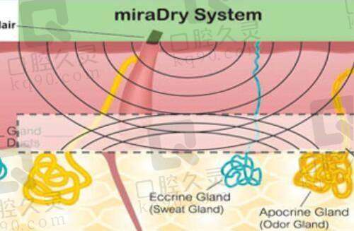 宝鸡晶肤医疗美容门诊部收费价格表