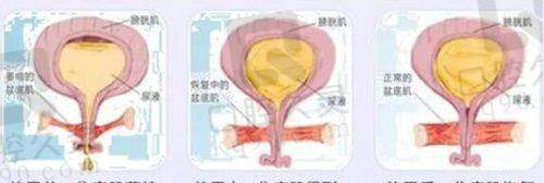 无锡施尔美医疗美容医院的口碑如何?