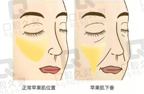 如何通过预约电话进行有效的沟通?