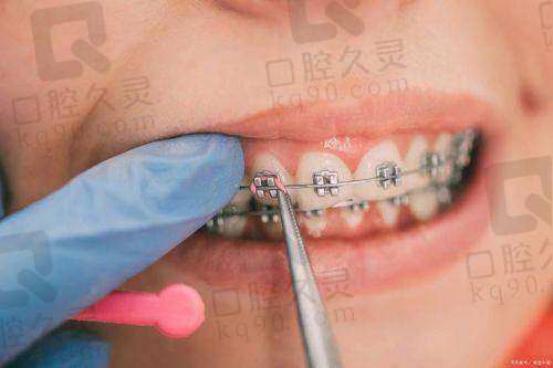 汪园个人资料及简历