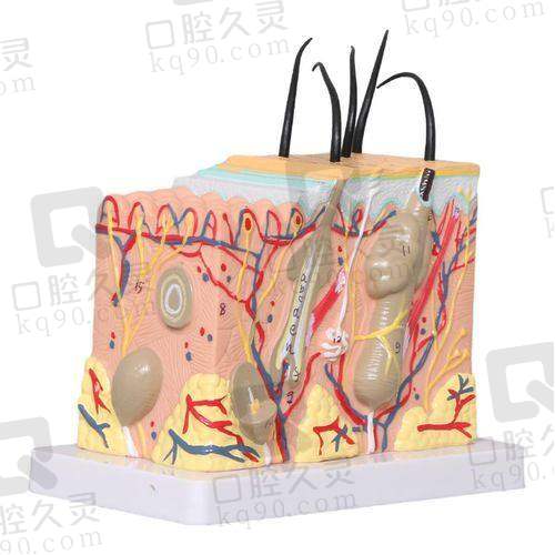 上海旗美是属于渠道医院吗?直客模式私立医美,患者体验超安心!